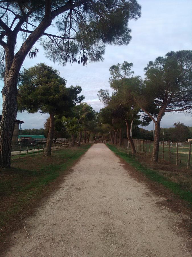 Biocampus La Roccaccia - Universita' Agraria Di Tarquinia Luaran gambar