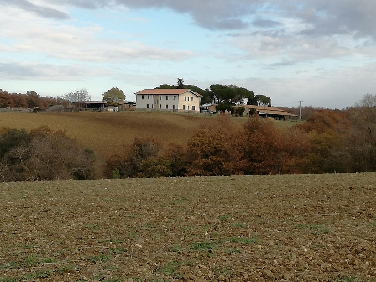 Biocampus La Roccaccia - Universita' Agraria Di Tarquinia Luaran gambar